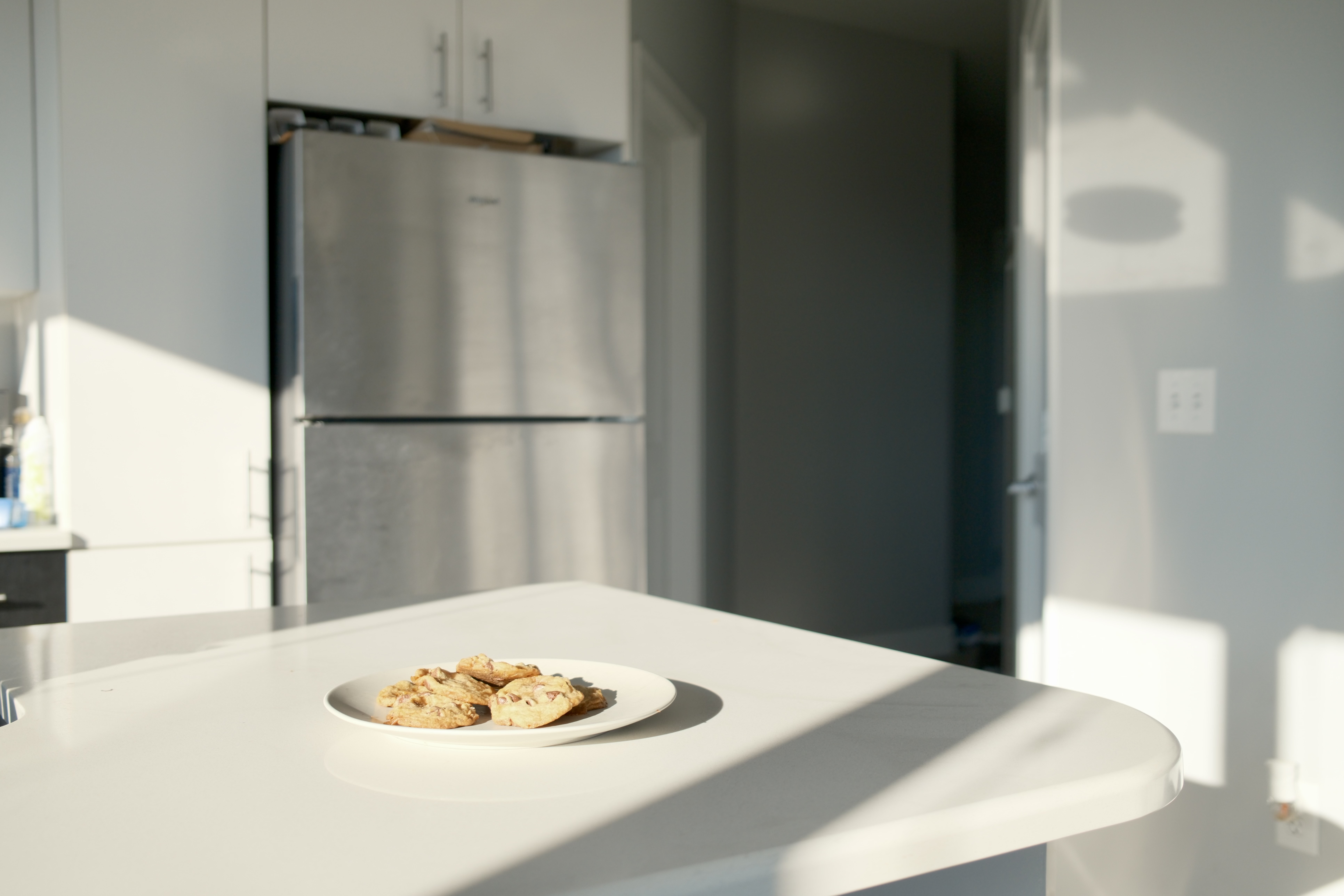 Sunlit kitchen counter with a plate of cookies, stainless fridge behind.